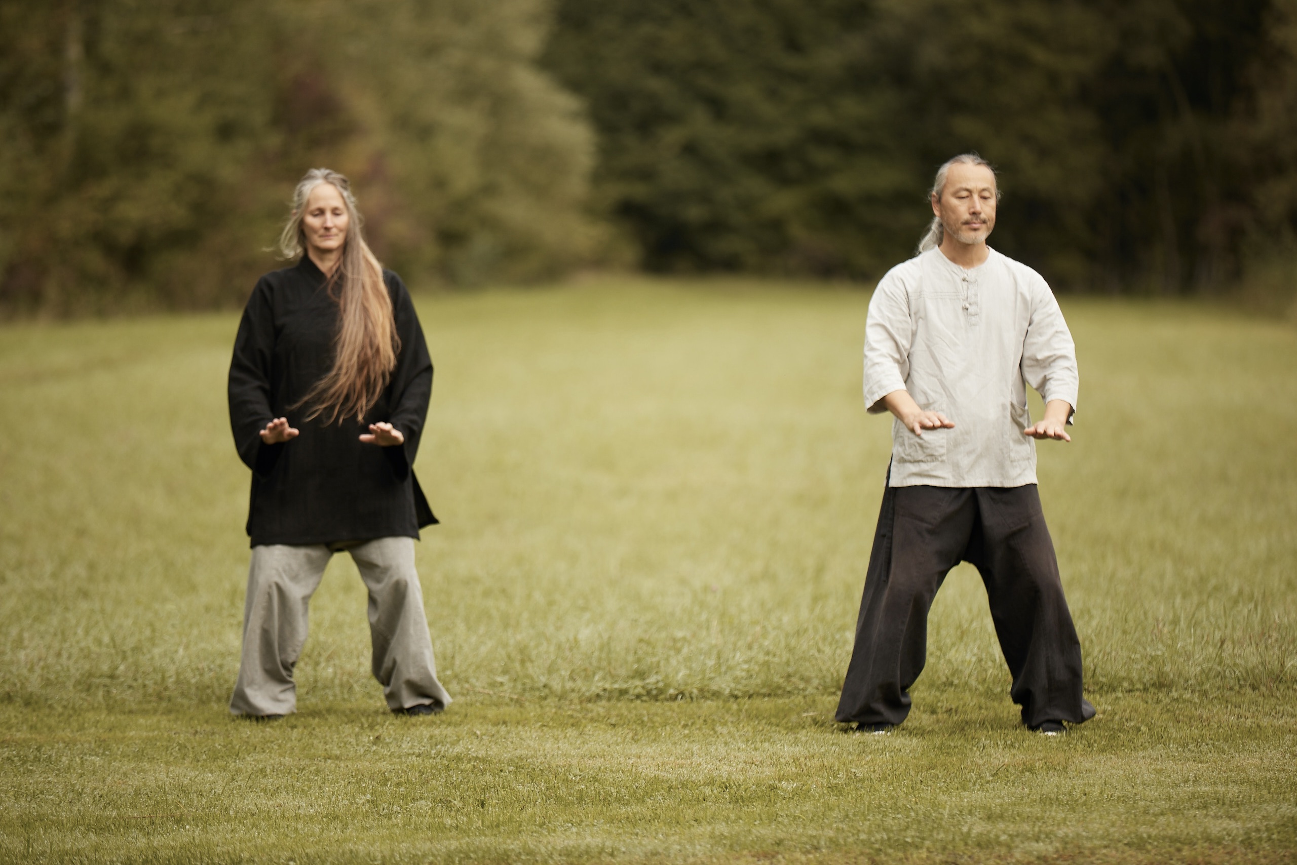 Chen Taiji Bern: Taiji | Qigong | Kungfu | Meditation - Deine Schule für Kampfkunst und Gesundheit
